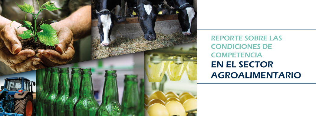 Banner-CARRUSEL SectorAgro-151215