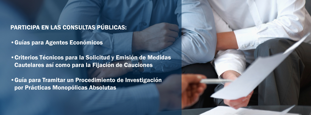 Banner-ConsultasPublicas 280915
