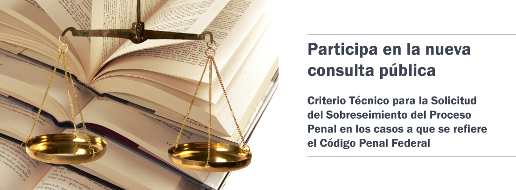 ConsultaPublica CodigoPenal 051015
