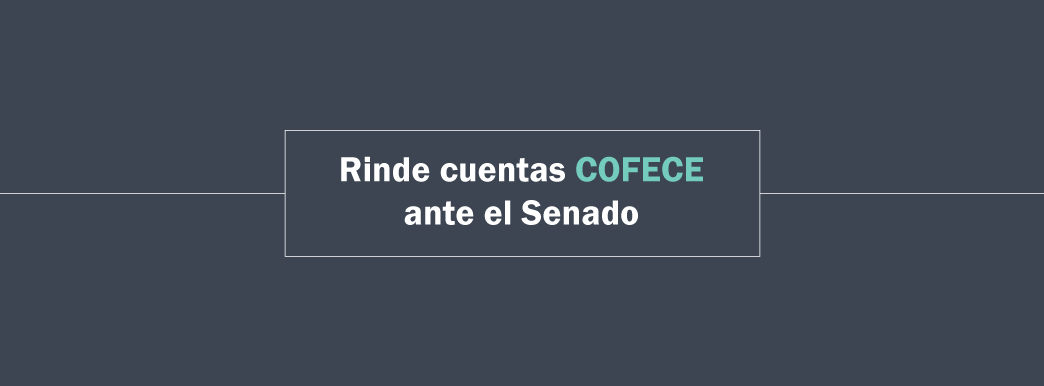 Banner-Comparecencia-Jana-INT-v4