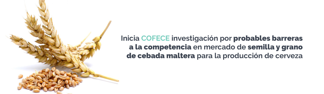 Banner-InvestigacionCebada-140116