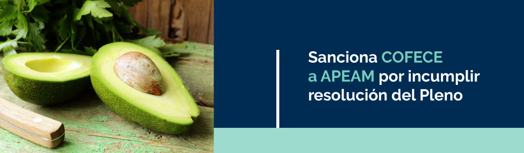 Banner Aguacate C 180416