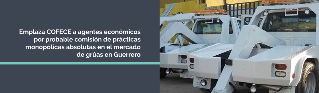 Banner-Gruas-Guerrero-D-COLOR