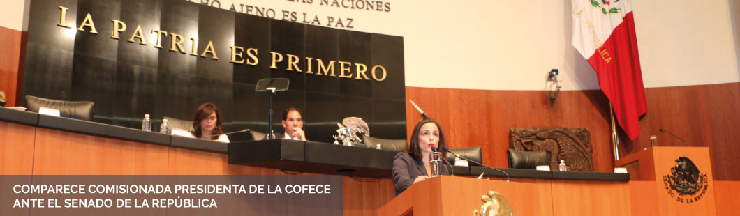 COMPARECENCIA-JANA-SENADO-2016
