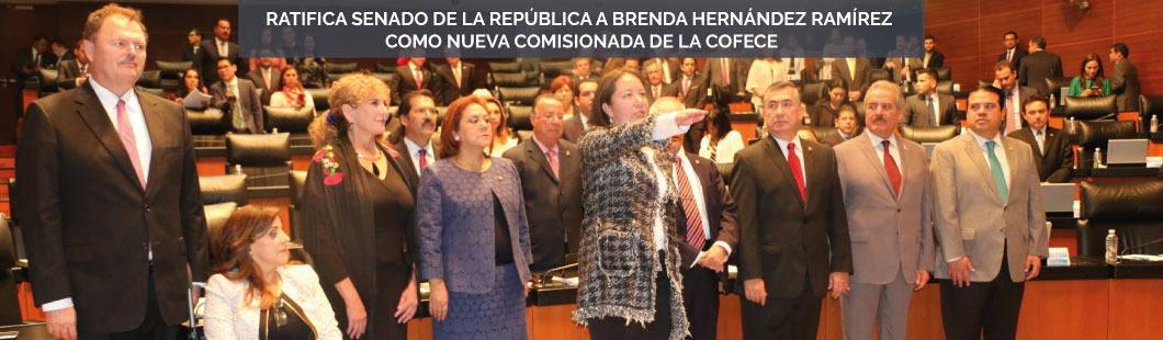 TOMA-PROTESTA-BRENDA
