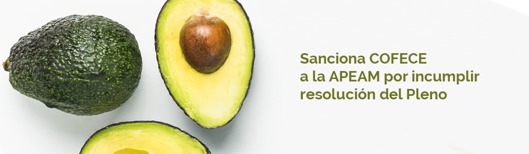 AGUACATE-APEAM-3MAY2017