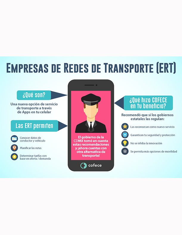 Empresas de Redes de Transporte (ERTs)