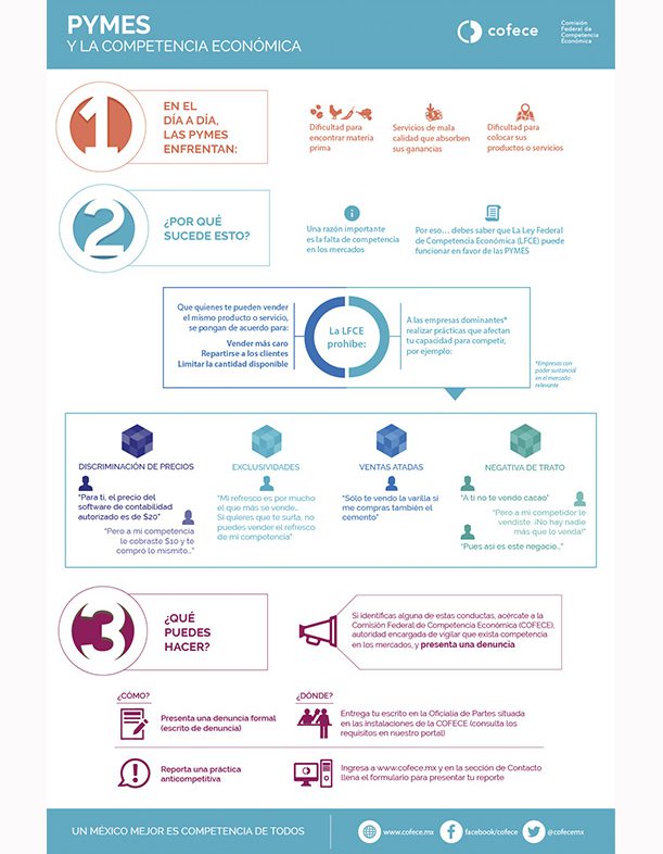 Pymes y la competencia económica