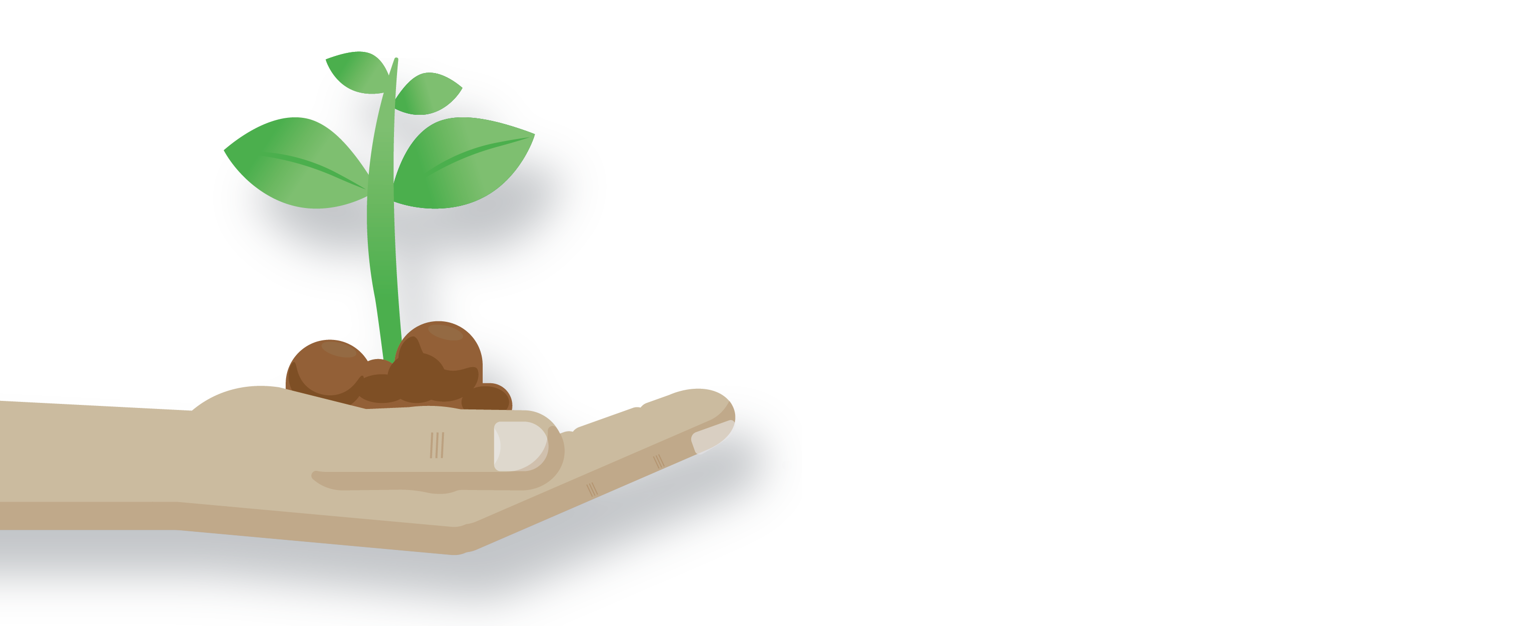 valores-01-01 valores-01-01