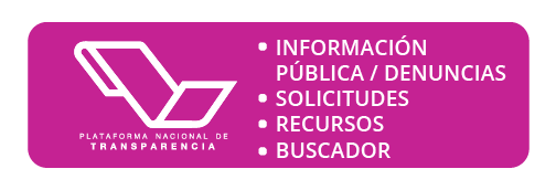 Ir al sitio web de la Plataforma Nacional de Transparencia