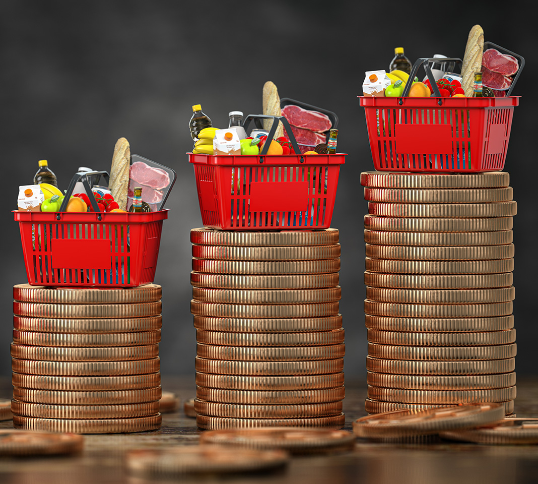 Growth of food sales or growth of market basket or consumer price index concept. Shopping basket with foods on coin stacks. 3d illustration