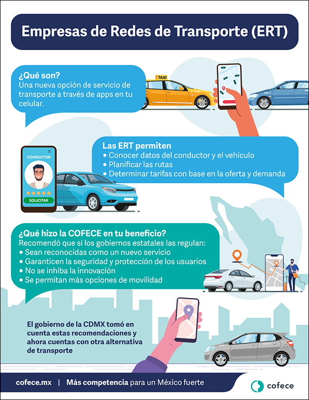 Empresas de Redes de Transporte (ERTs)