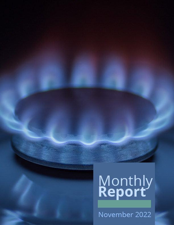 Monthly Report - November 2022