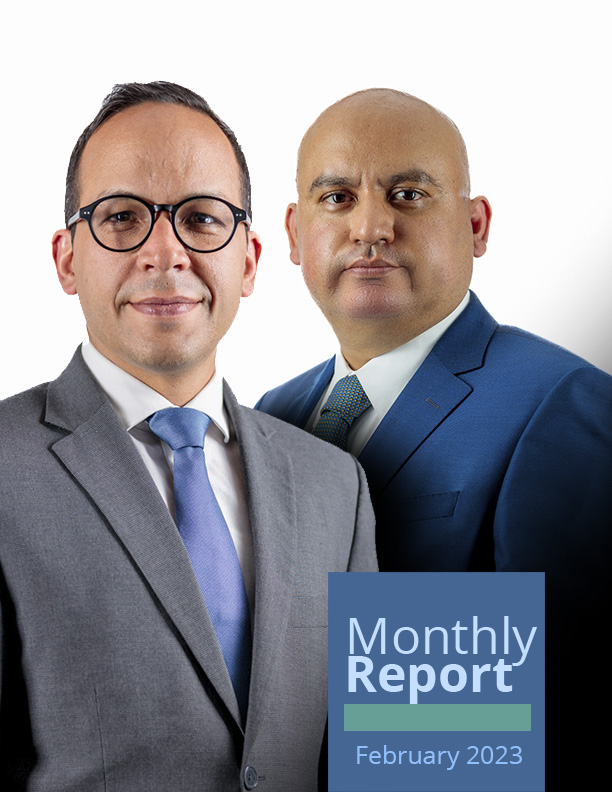 Monthly report - February 2023