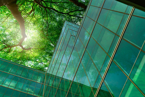 Eco-friendly,Building,In,The,Modern,City.,Green,Tree,Branches,With