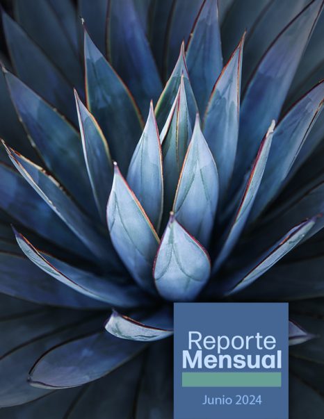 Portada del reporte mensual de junio 2024 donde se muestra una planta de Agave.