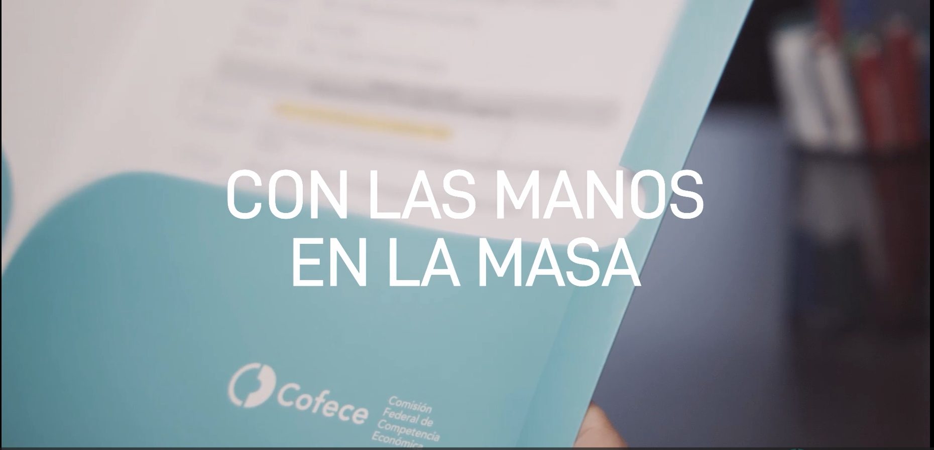 Con las manos en la masa. Tortillas