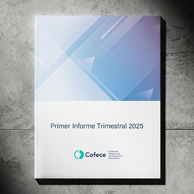 layer-cuadrado-abril25-1 Ilustración de portada del documento "Primer informe trimestral 2025"