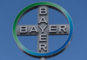 bayer20201