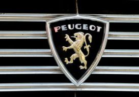 peugeold