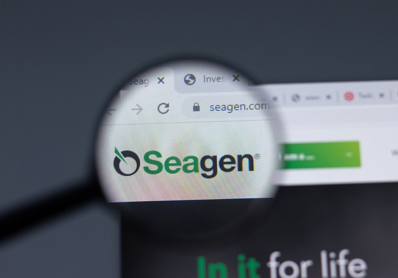 New York, USA - 17 February 2021: Seagen logo close up on website page, Illustrative Editorial